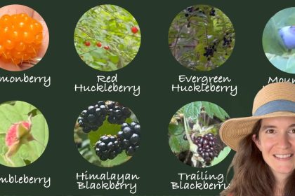 7 Edible Berries of the Pacific Northwest