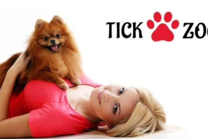 Tickzoo: The Ultimate No-Code Platform for Creative Digital Experiences