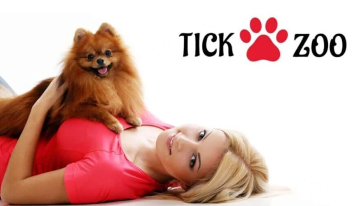 Tickzoo: The Ultimate No-Code Platform for Creative Digital Experiences