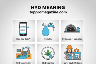 HYD Meaning, What Does HYD Really Stand For