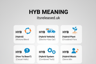 Hyb Meaning, What It Stands For and How It’s Used Today