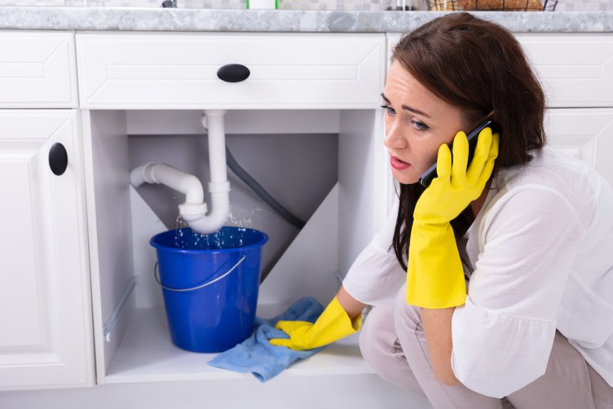 What to Do in a Plumbing Emergency Before the Professionals Arrive