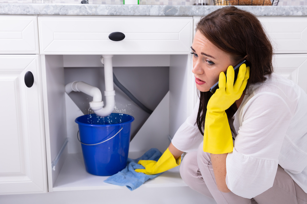What to Do in a Plumbing Emergency Before the Professionals Arrive