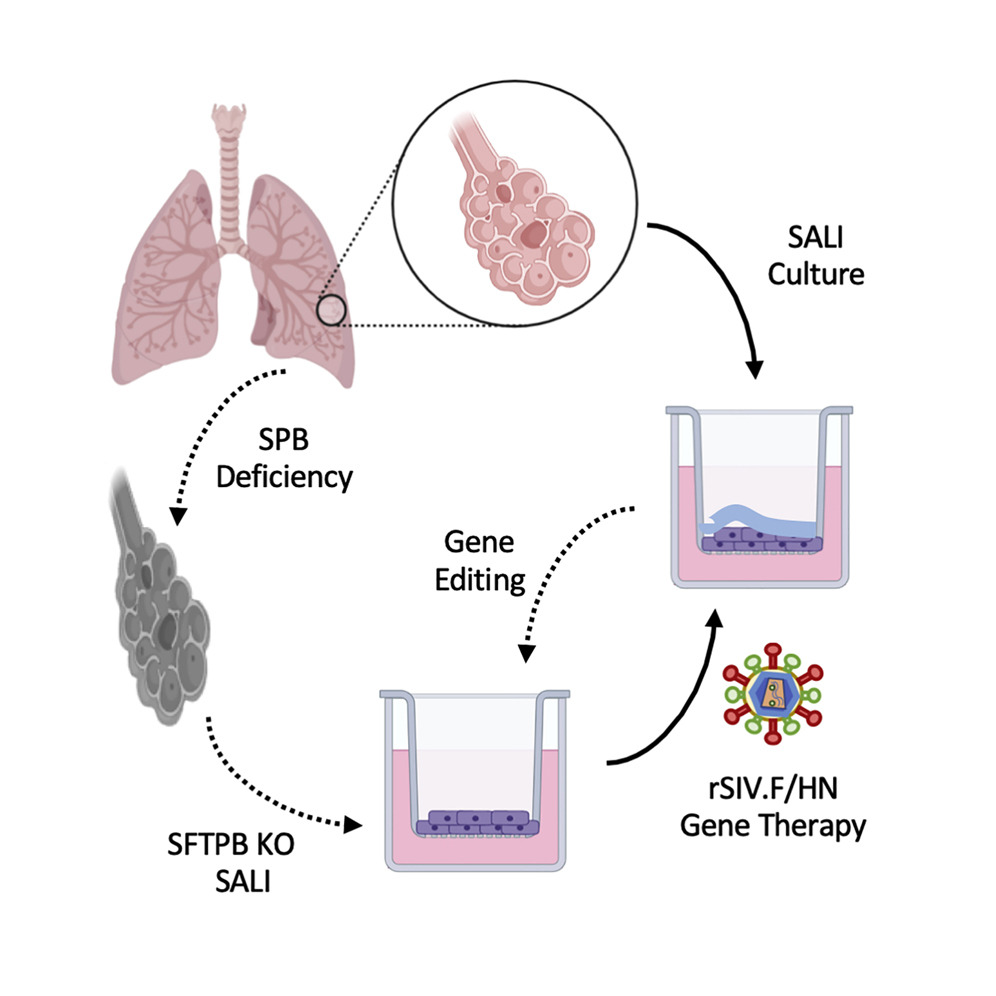 Innovative Tools Driving RespInnovative Tools Driving Respiratory Science Forwardiratory Science Forward