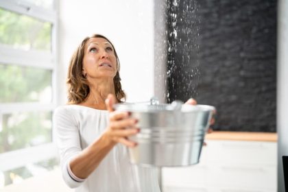 The Complete Guide to Mold Management in Your Home