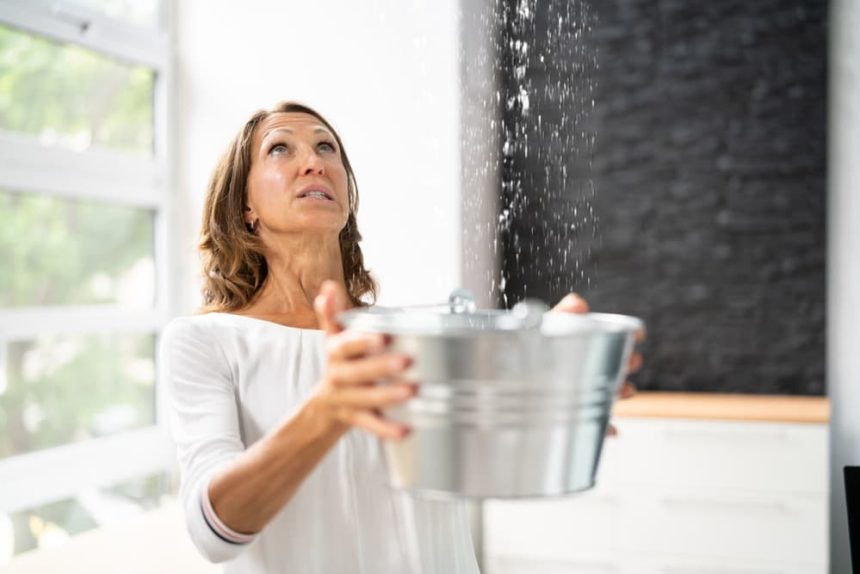 The Complete Guide to Mold Management in Your Home